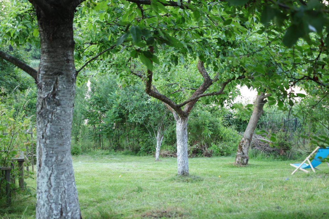 Lawendowe Pokoje Blisko Lasu - Mikolajki Exterior foto